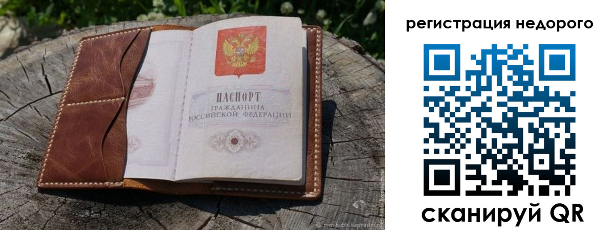 прописка для школы в Ельне