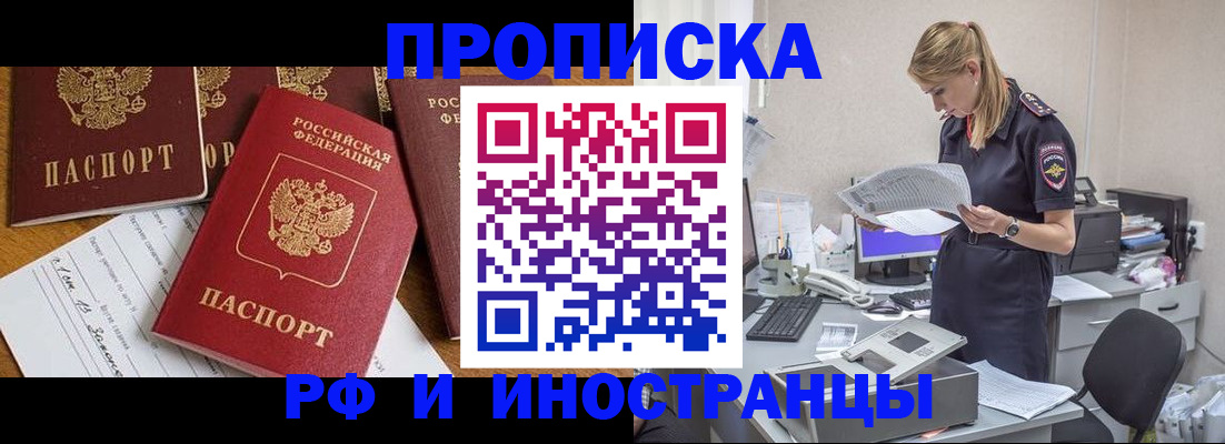 прописка в Ельне